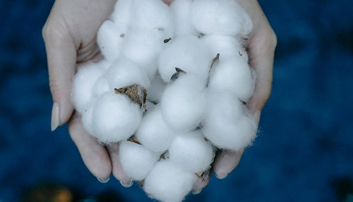 Vải Cotton (100%, CVC, TC)