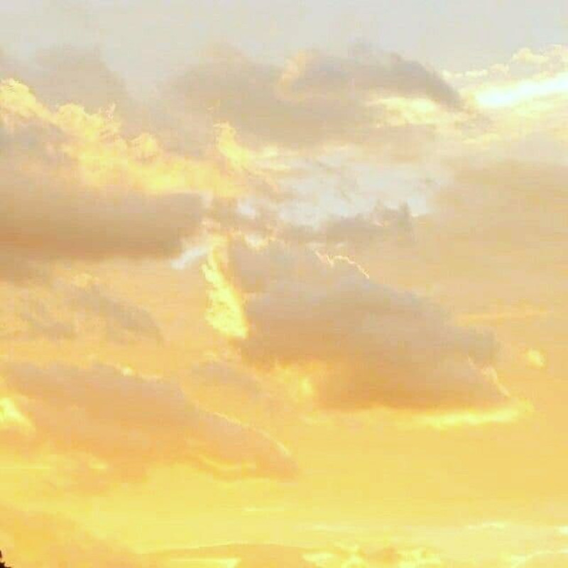 cung song tu hop mau vang