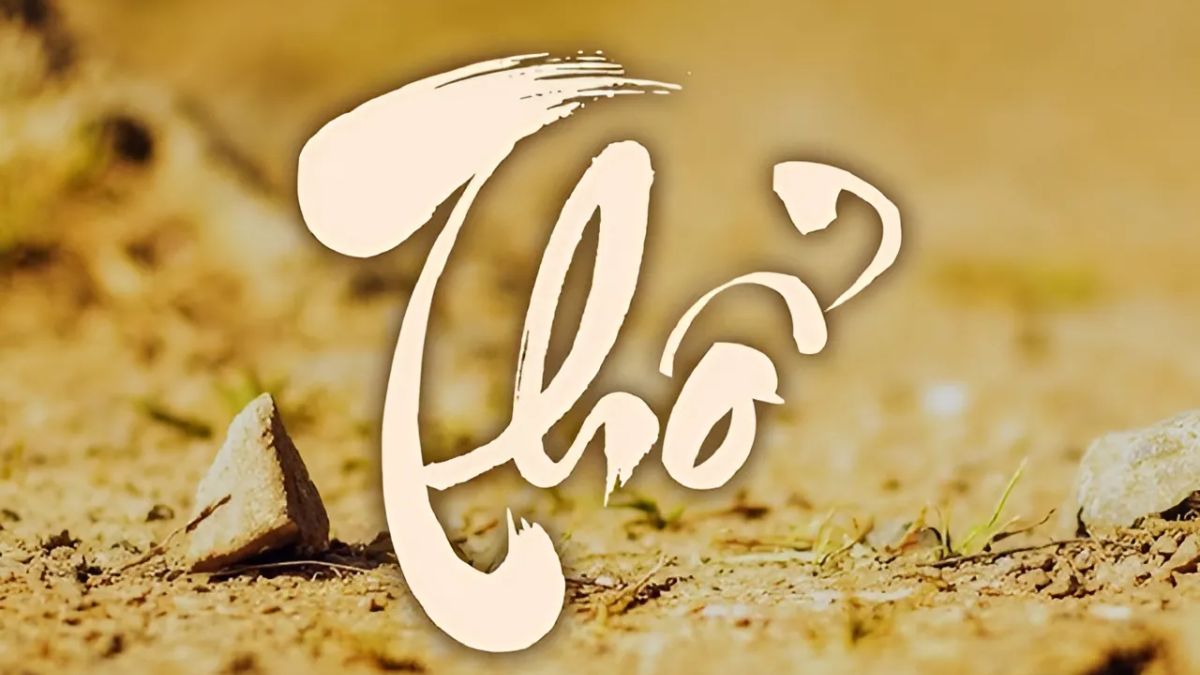 2007 hợp màu gì? Cách phối đồ cho người sinh 2007