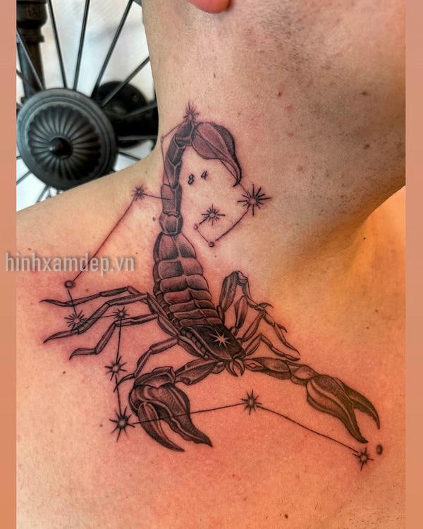 10+ Mẫu hình xăm cung bọ cạp đẹp nhất hiện nay
