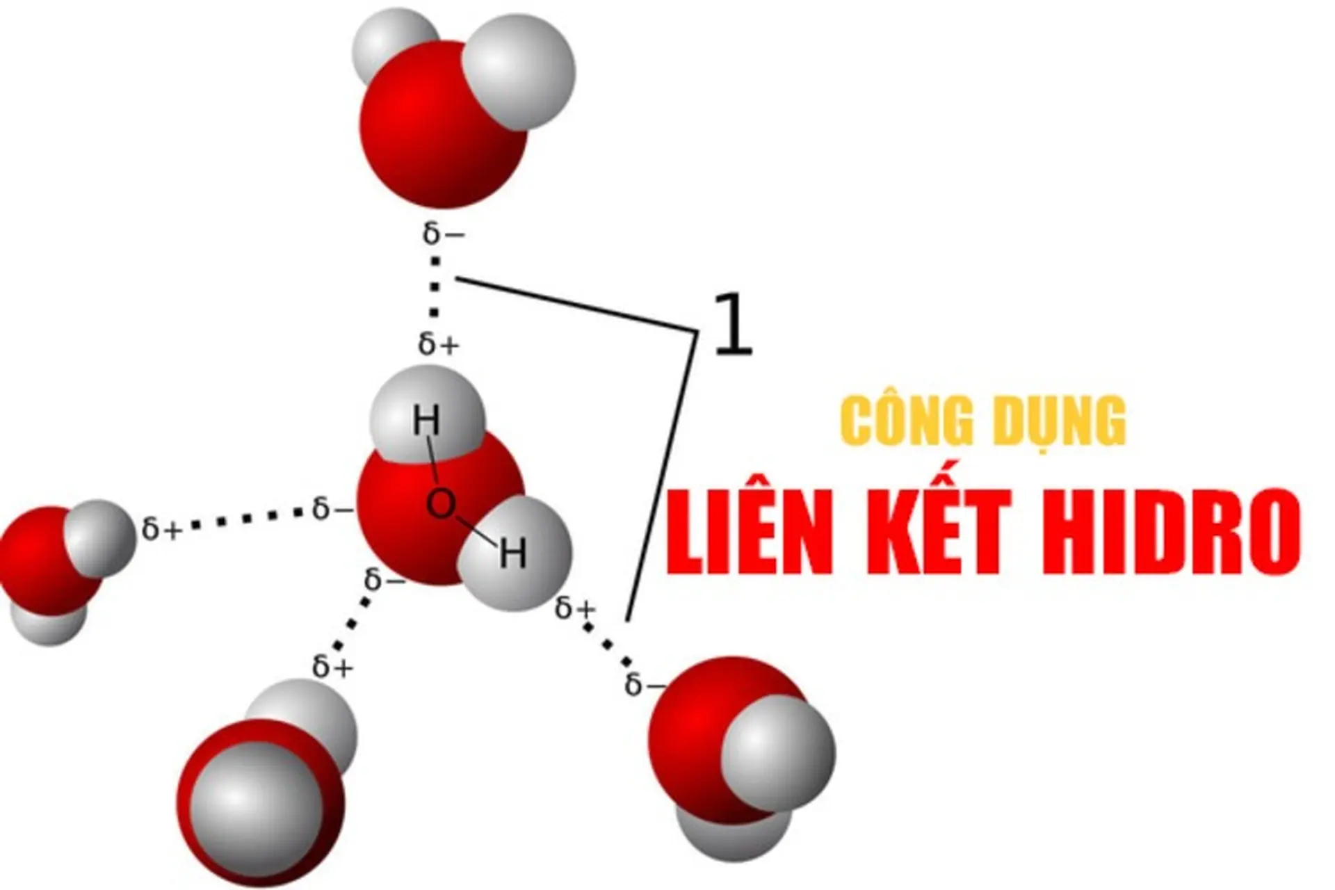 Chất nào sau đây có công thức hóa học là H₂O?