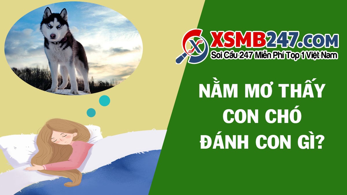 Giải mã giấc mơ thấy người khác cho trái cây