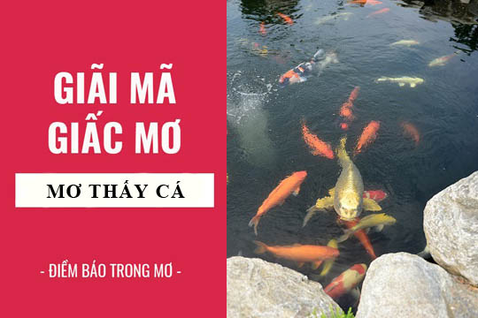 Nằm mơ thấy nhiều cá chết báo hiệu điềm gì?