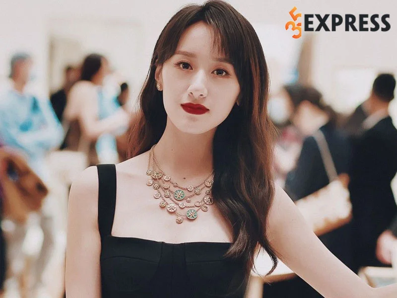 Tổng hợp các tập phim có sự tham gia của viên băng nghiên