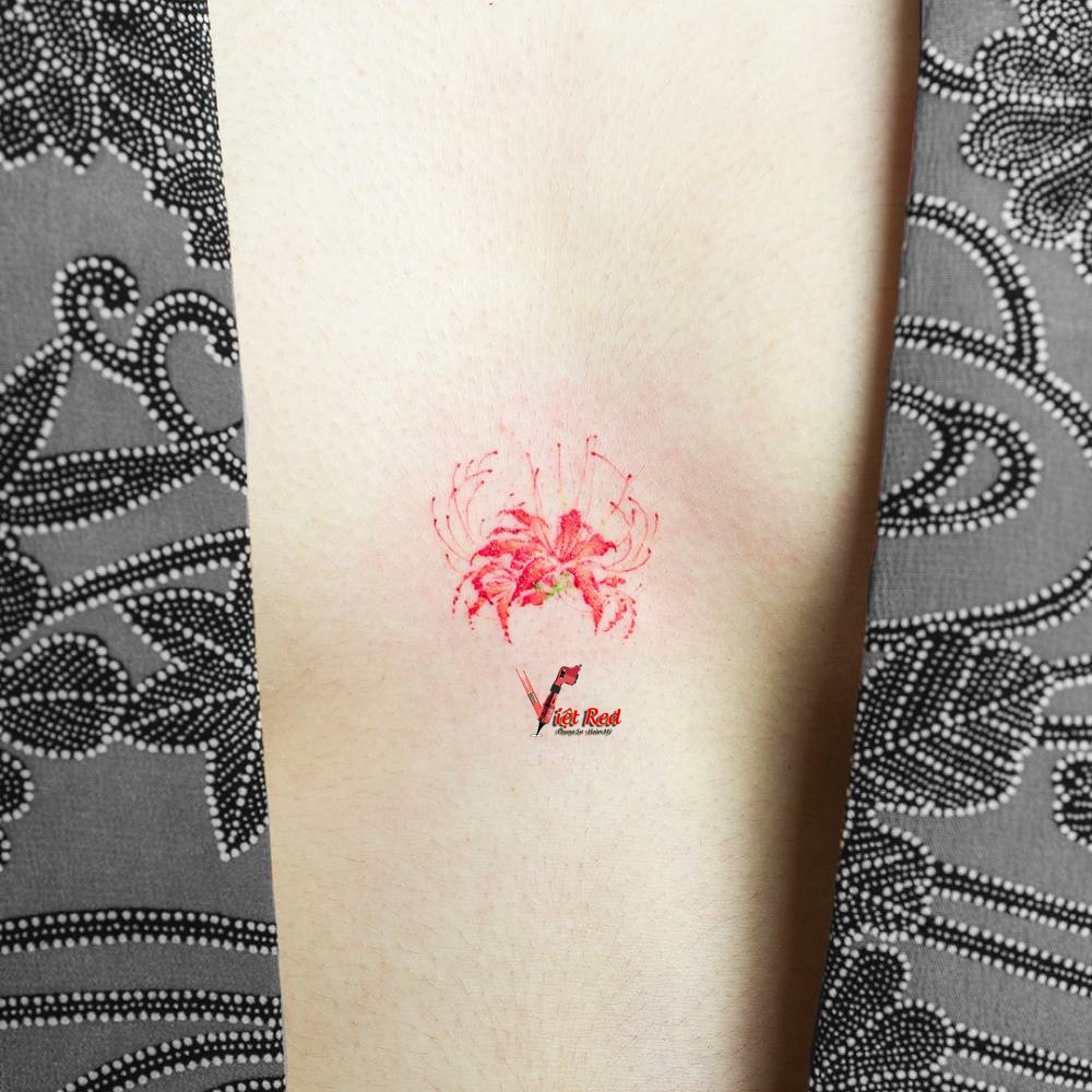 50+ Mẫu hình xăm hoa bỉ ngạn cho nữ đẹp và quyến rũ