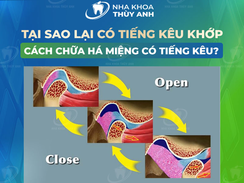 Câu hỏi kiến thức: quả cà chua đến từ đâu?