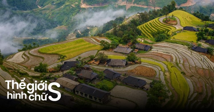 Lục địa nào có khí hậu lạnh giá quanh năm?