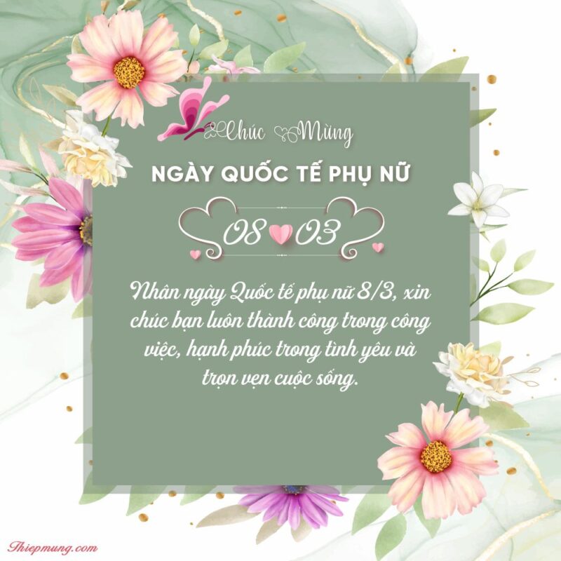 hình ảnh 8/3