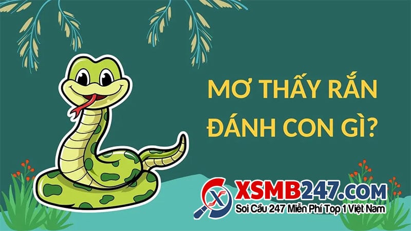 Mơ Thấy Cây Tre Có Ý Nghĩa Gì? Những Điều Bạn Cần Biết