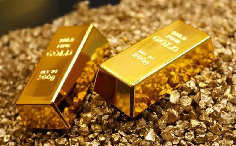 Ngủ mơ thấy cây gỗ to có ý nghĩa gì?