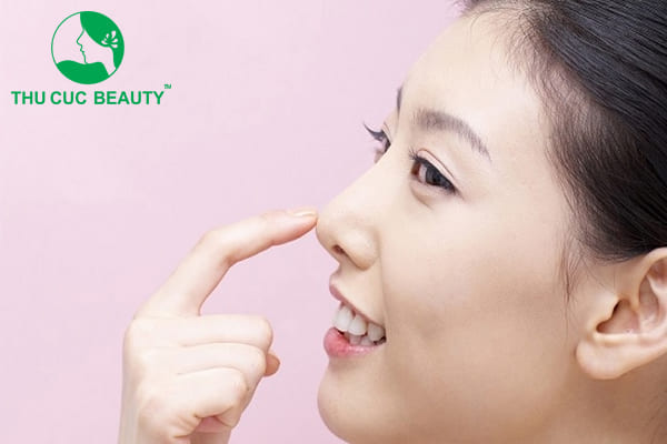 Con gì sống mũi mọc sừng. mình mặc áo giáp khỏe không ai bằng?